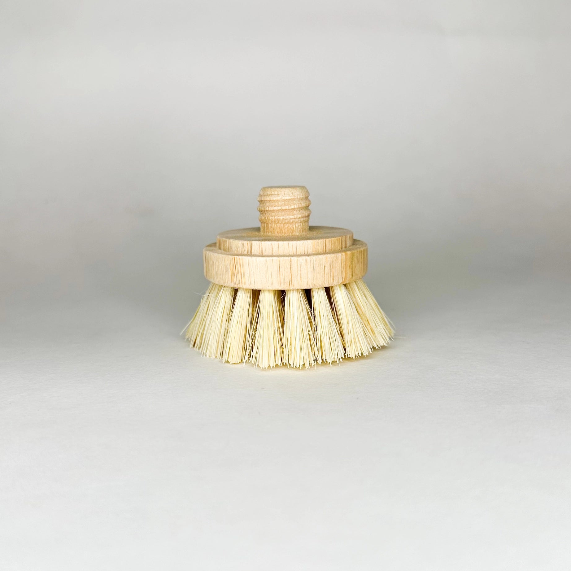 Bamboo Sisal Dish Brush with Replaceable Head