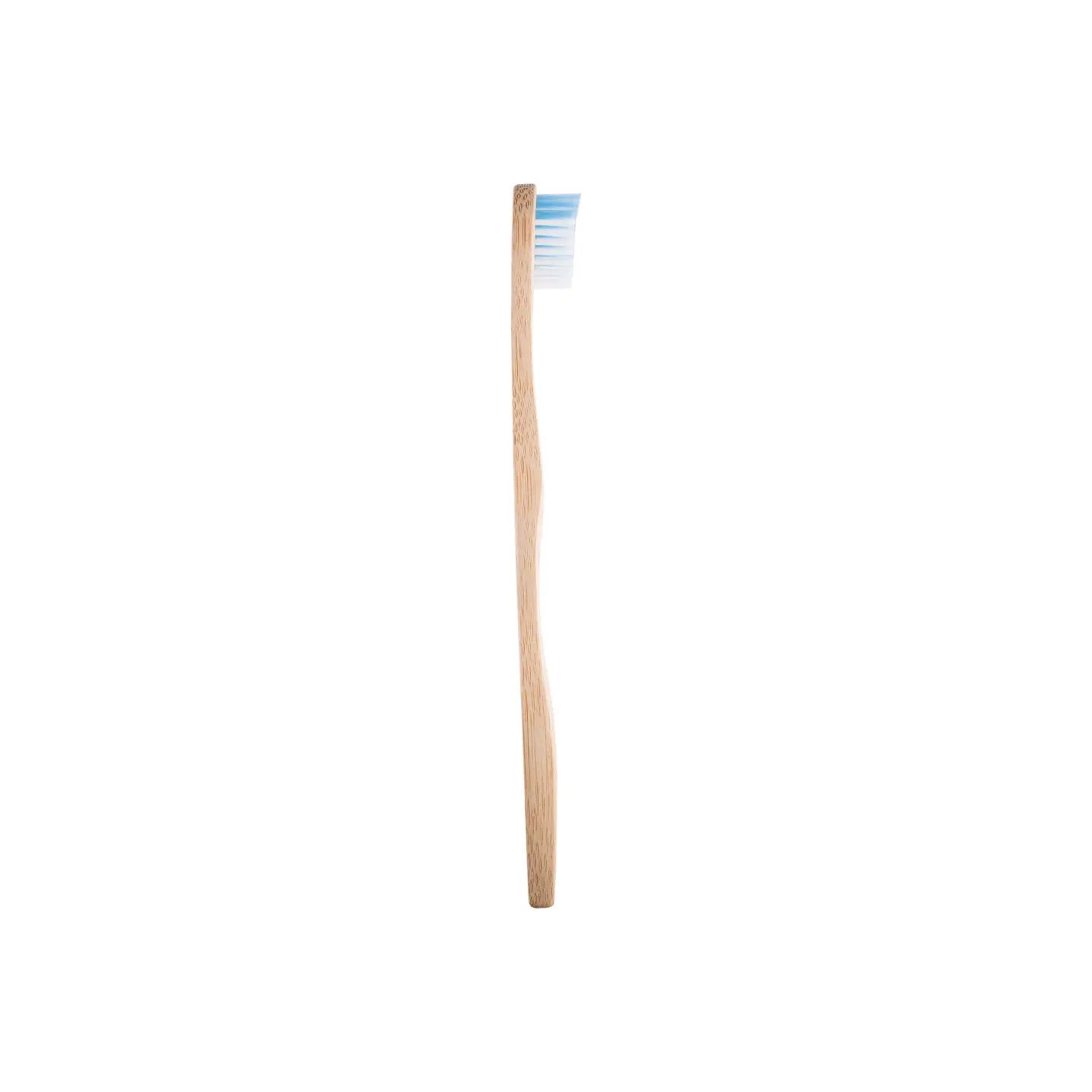 Canadian Bamboo Toothbrush - Adult