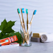 Canadian Maple Wood Toothbrushes