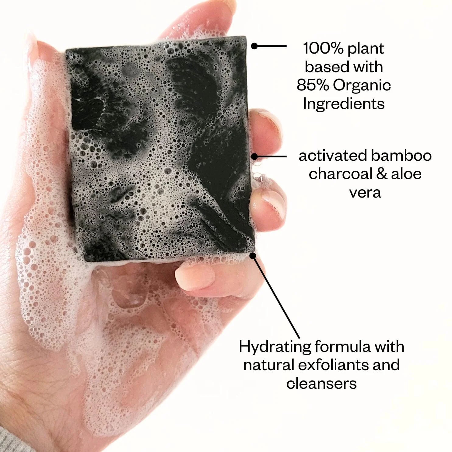 Charcoal & Aloe Facial Cleansing Bar