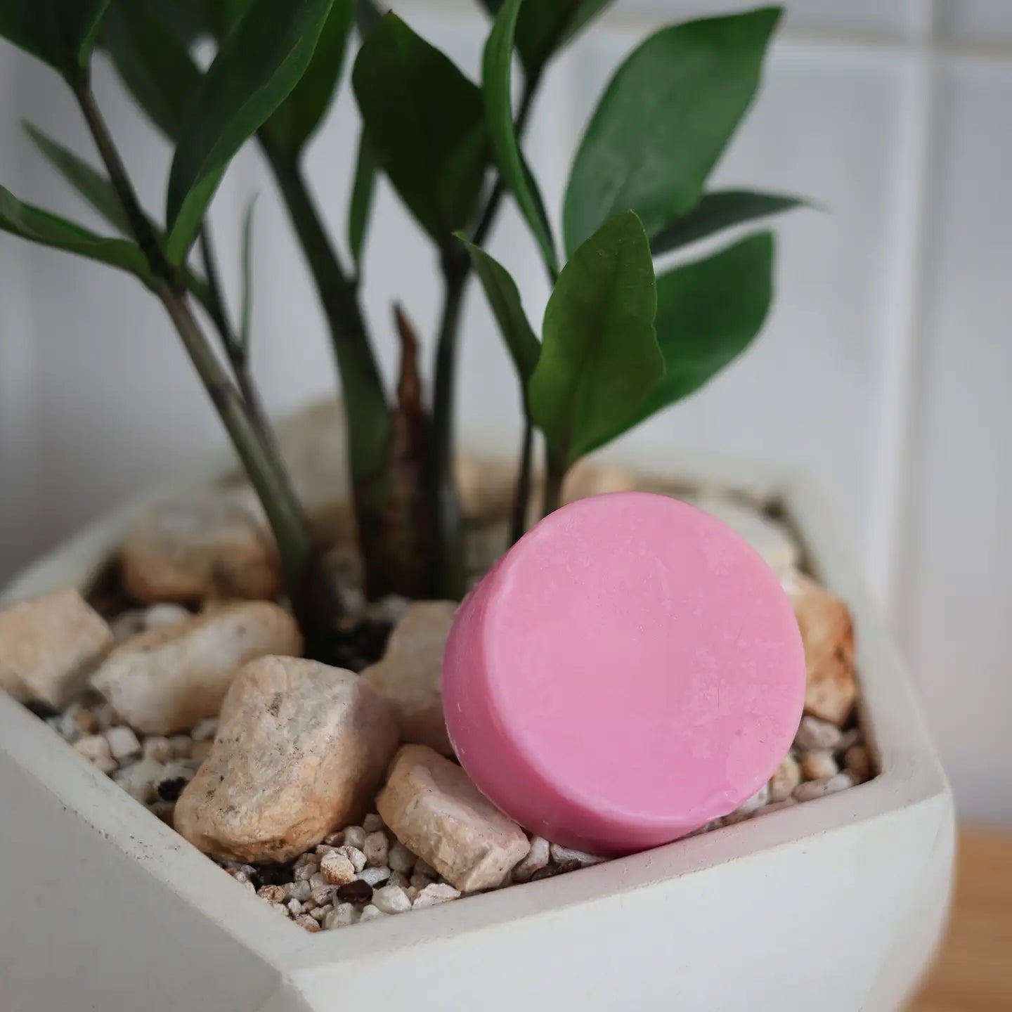Rad Hair Day Conditioner Bar